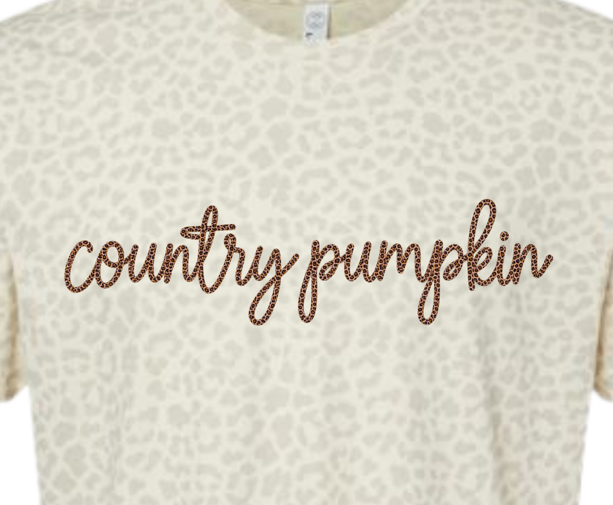 Country Pumpkin T-Shirt
