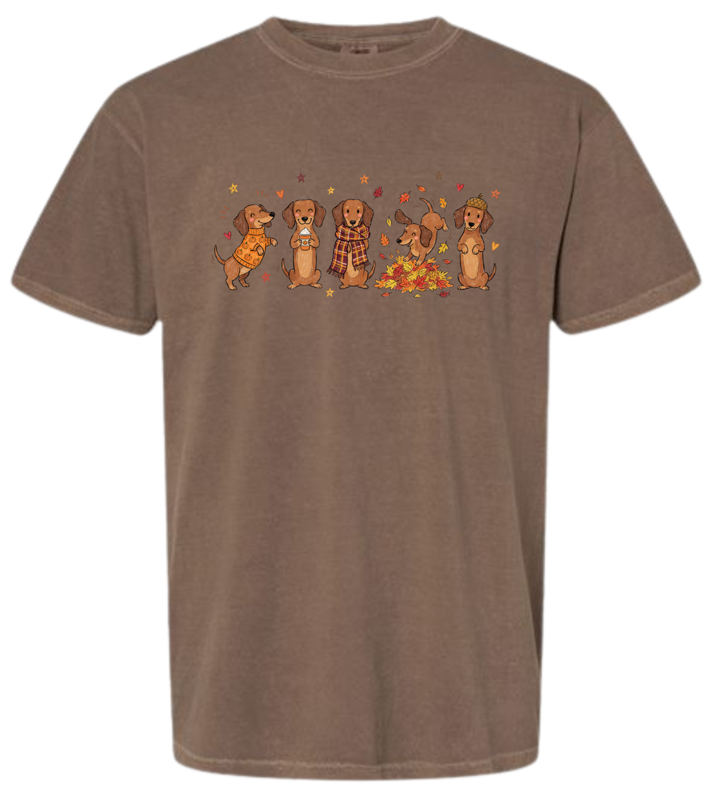 Fall Dachsund