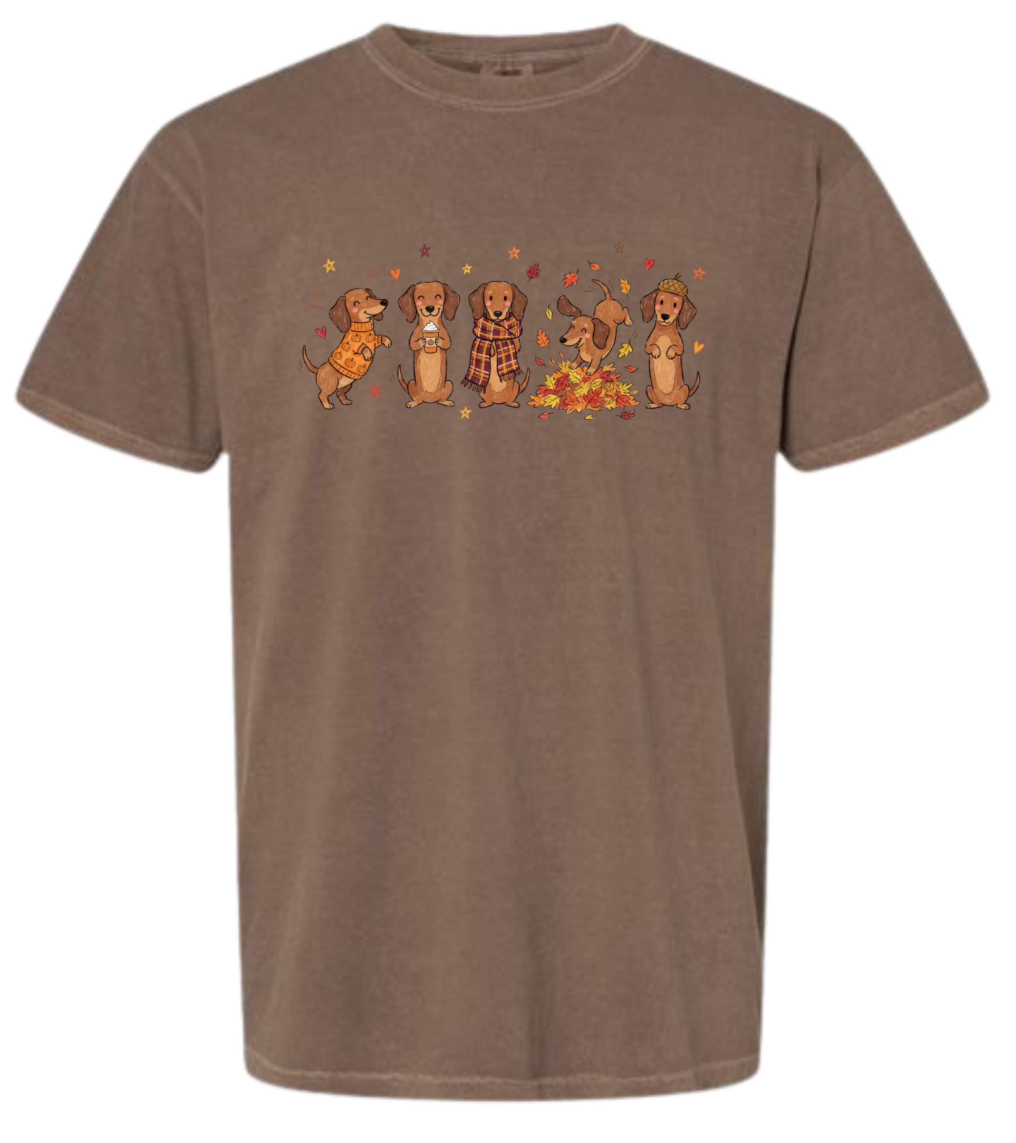 Fall Dachsund