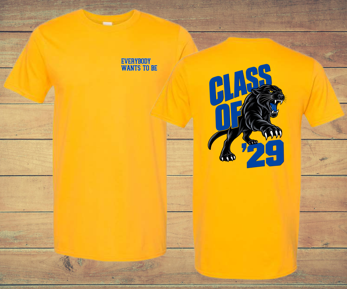 PHS Sophomore Class-MUST ORDER BY 9/14 to secure your shirt!!