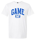 Game Day - Blue and White Check