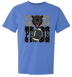 Panther Pride