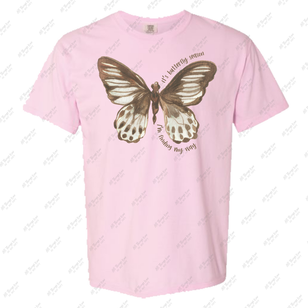 It's Butterfly Season...I'm Finding My Way