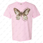 It's Butterfly Season...I'm Finding My Way
