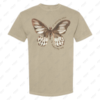 It's Butterfly Season...I'm Finding My Way